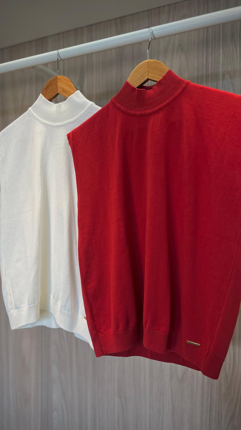 Regata Ambicione - cores